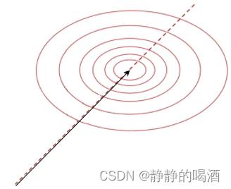 某一梯度下降方向