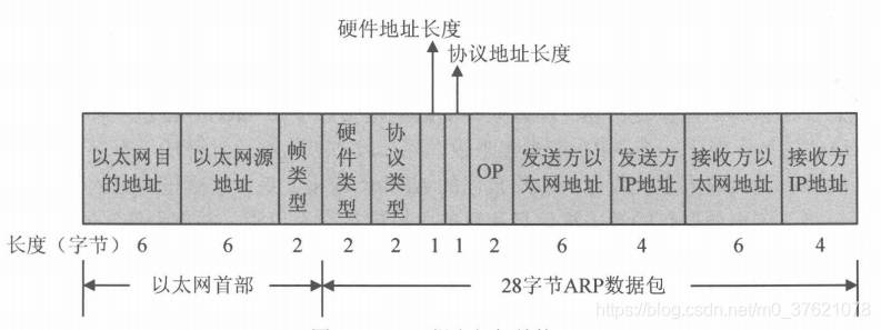 ARP数据报