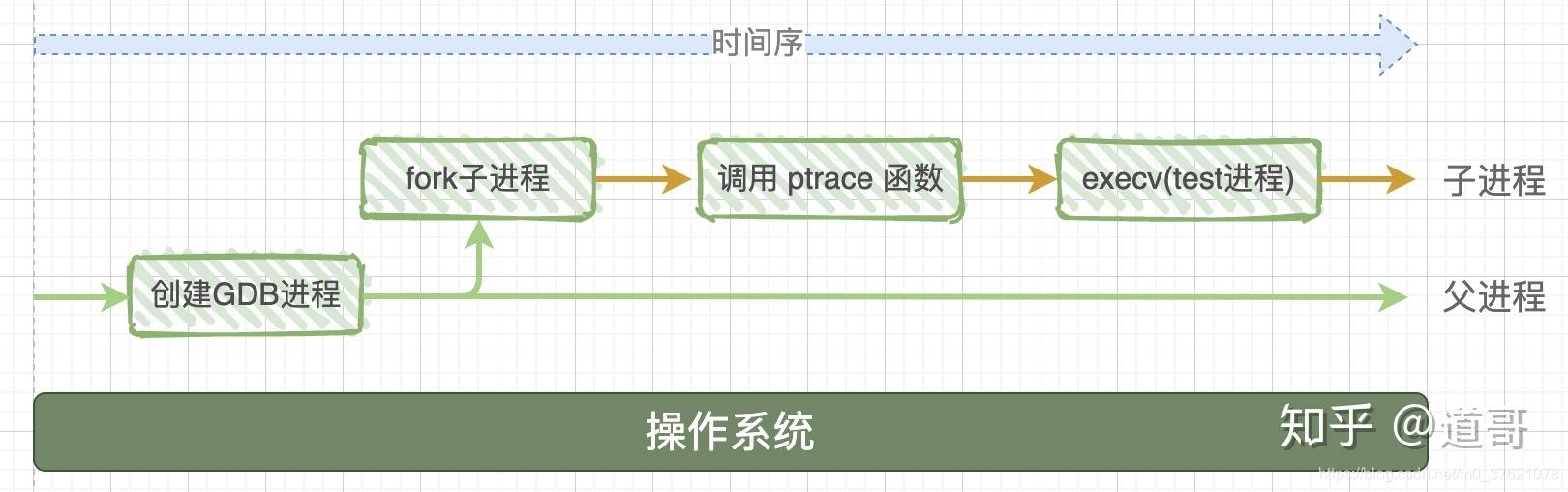 GDB 进程通过ptrace 函数启动被调试进程图示