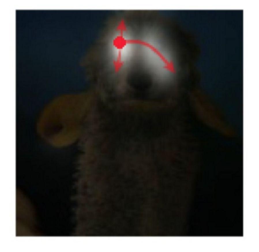 640?wx_fmt=png