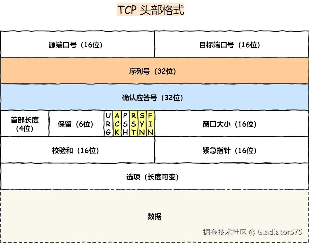 TCP 头格式