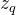 z_{q}