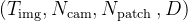 \left(T_{\mathrm{img}}, N_{\mathrm{cam}}, N_{\text {patch }}, D\right)