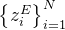 \left\{z_{i}^{E}\right\}_{i=1}^{N}