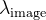 \lambda_{\text {image }}