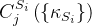 C_{j}^{S_{i}}\left(\left\{\kappa_{S_{i}}\right\}\right)