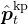 \hat{\boldsymbol{p}}_{t}^{\mathrm{kp}}