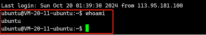 image-20241020014105999