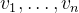 v_{1}, \ldots, v_{n}