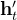\mathbf{h}_{t}^{\prime}