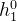 h_{1}^{0}