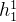 h_{1}^{1}