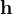 \mathbf{h}