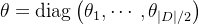 \theta=\operatorname{diag}\left(\theta_{1}, \cdots, \theta_{|D| / 2}\right)