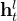 \mathbf{h}_{t}^{l}