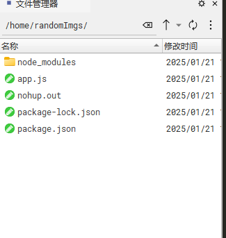 image-20250121134704632