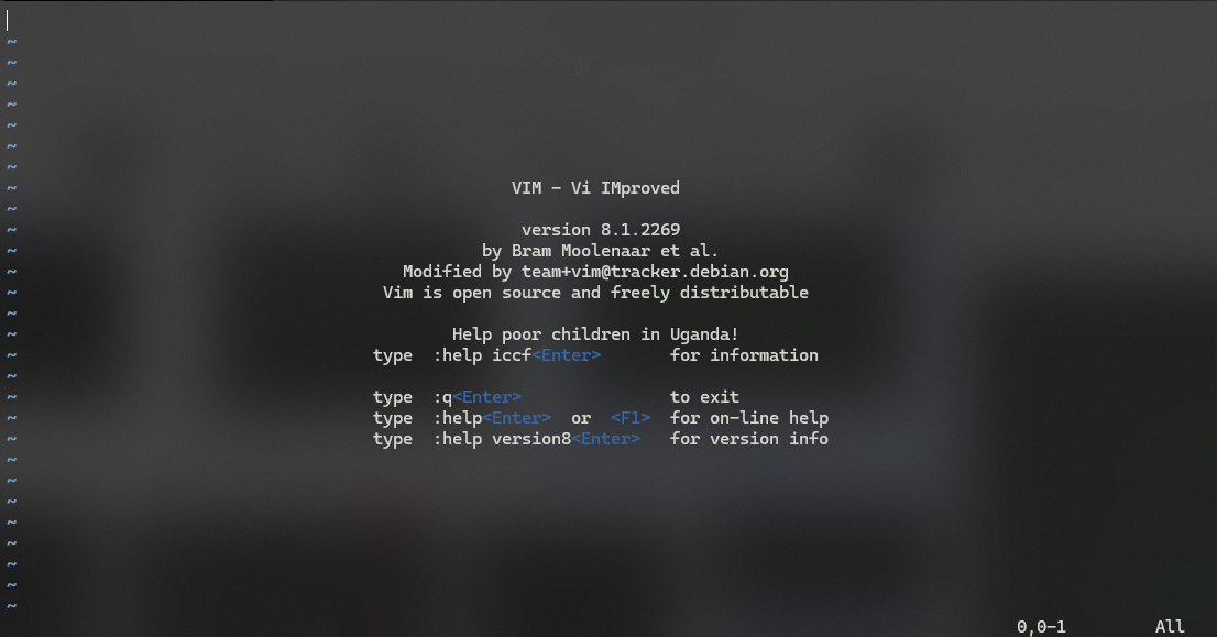 the vim interface in Ubuntu-20.04
