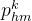 p_{hm}^{k}