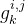 g_{k}^{i,j}